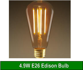 4.9W E26 Edison Bulb