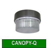 CANOPY-Q